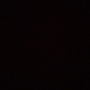 Meet your Posher, Rylee